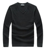 Cashmere Vneck Slim Fit Sweater